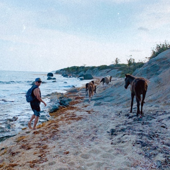 Meet your Posher, Nicolette - Picture 8 of 15